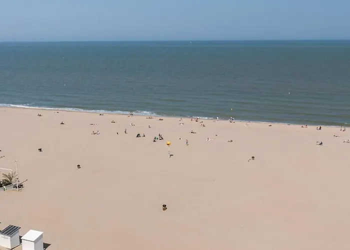 Huswell - Frontal Seaview In Apartment Ostende
